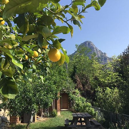 Bed and Breakfast Au Pied Des Baous Ванс Екстер'єр фото