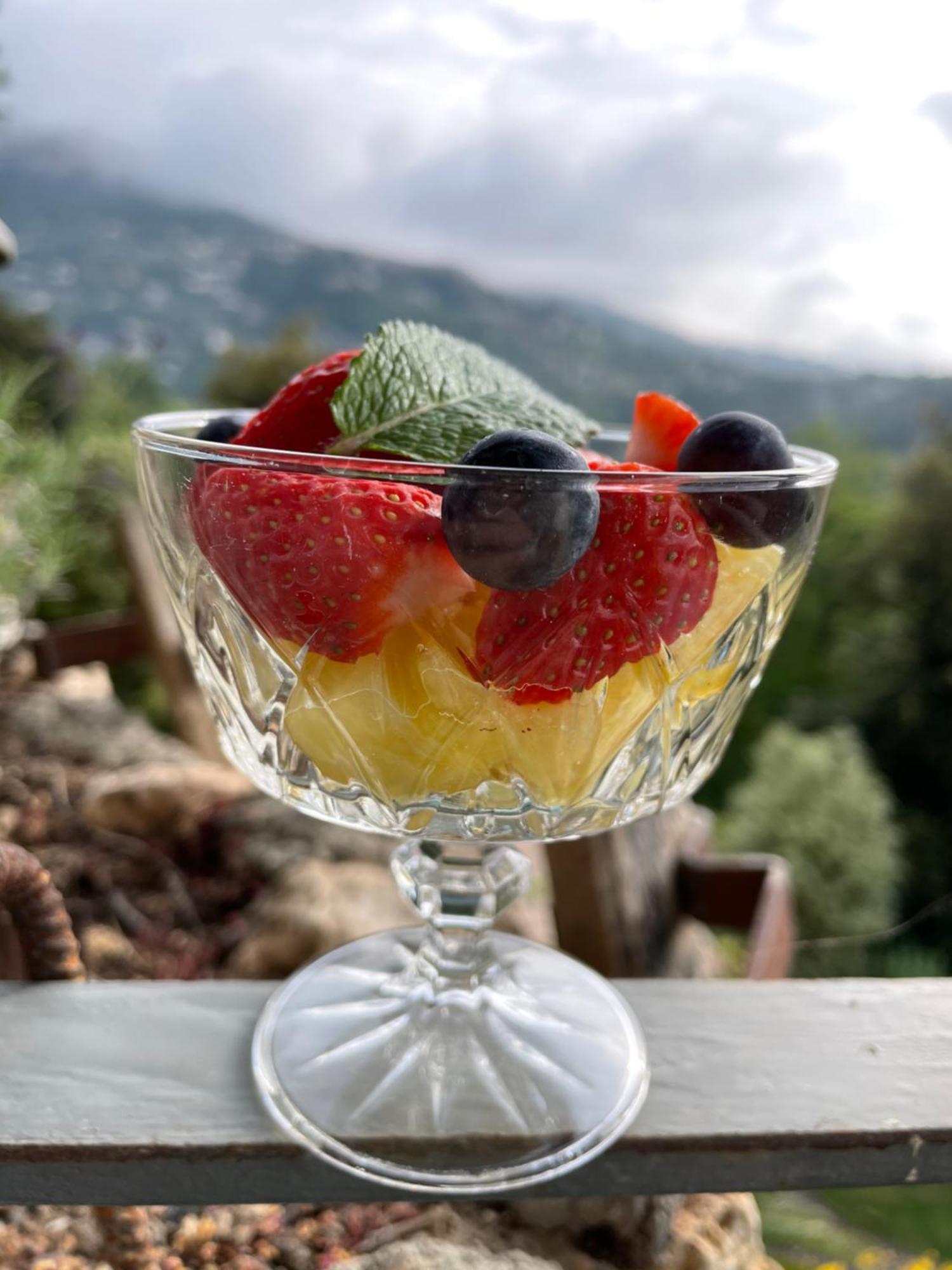 Bed and Breakfast Au Pied Des Baous Ванс Екстер'єр фото