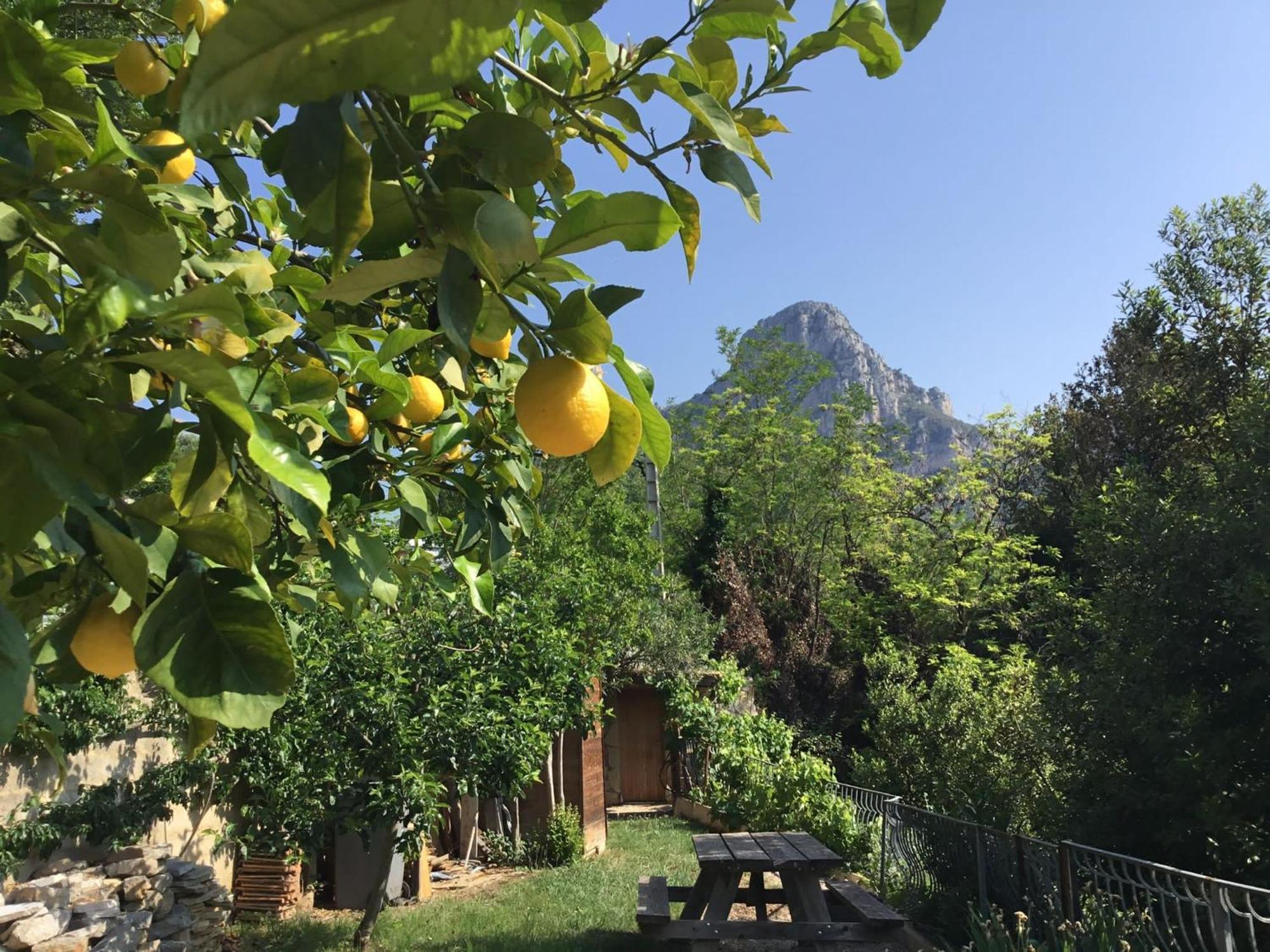 Bed and Breakfast Au Pied Des Baous Ванс Екстер'єр фото
